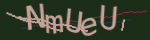 Enter the character string shown in the picture